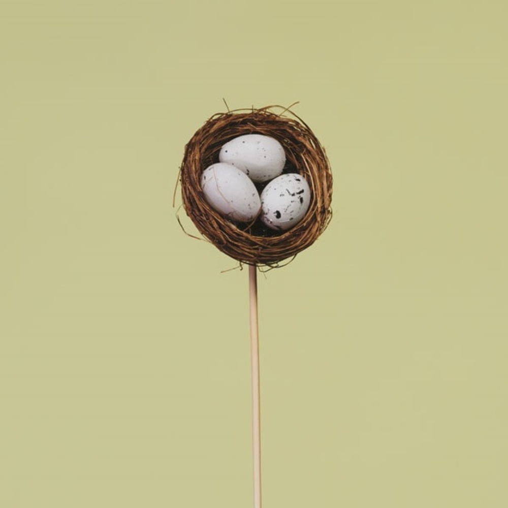 *3" Bird Nest w/ Eggs Arrangement Picks - 18" tall #00425 (NWT) #1